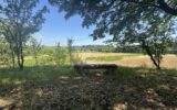 Maison à vendre à Puisseguin — Vue nature — photo 22