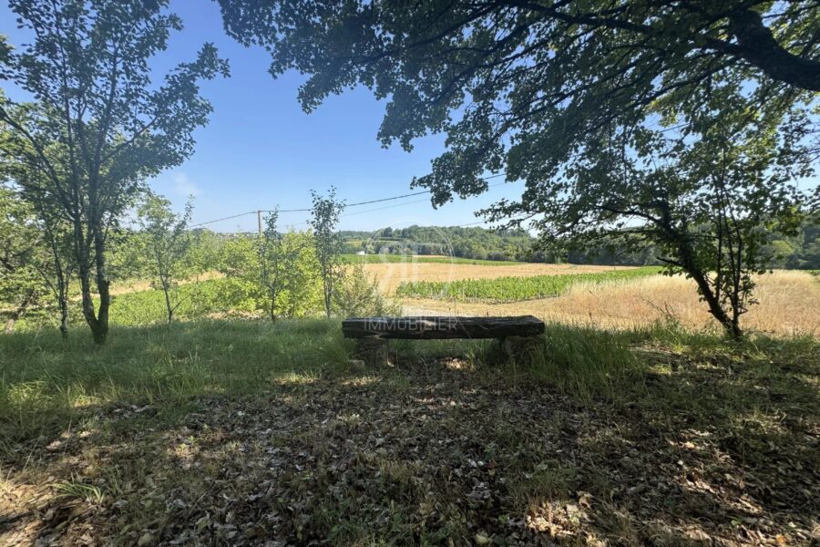 Maison à vendre à Puisseguin — Vue nature — photo 22