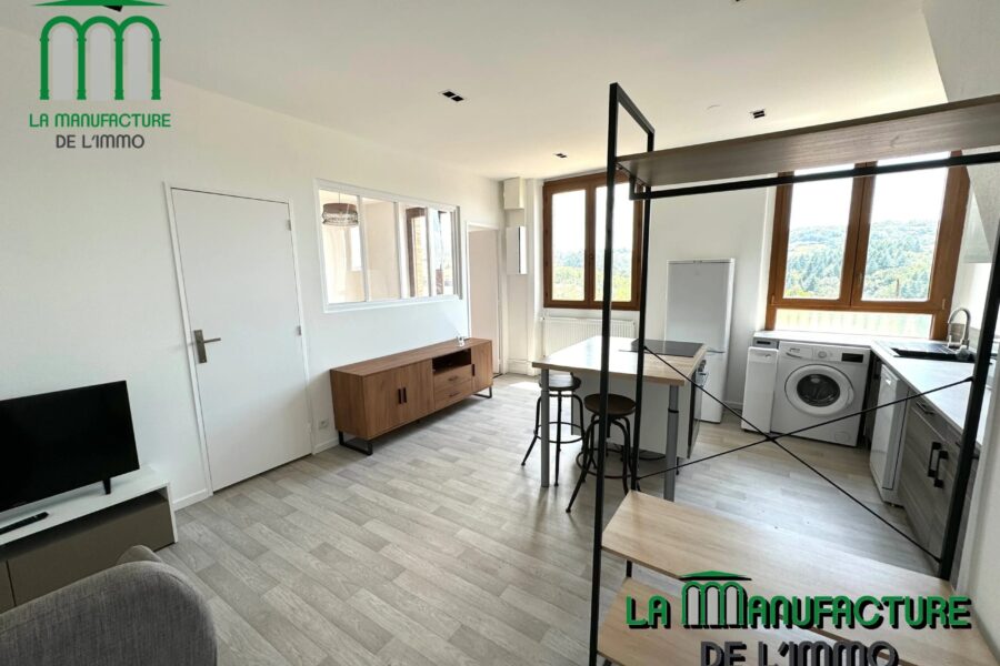 Appartement à louer à Saint-Étienne — Vue nature — photo 6