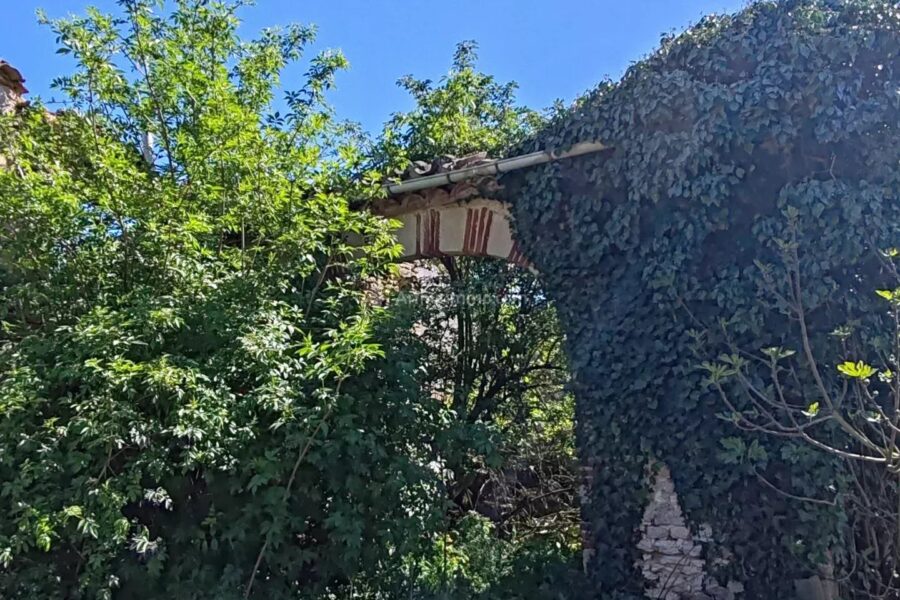 Maison à vendre à Florentin — Vue nature — photo 27