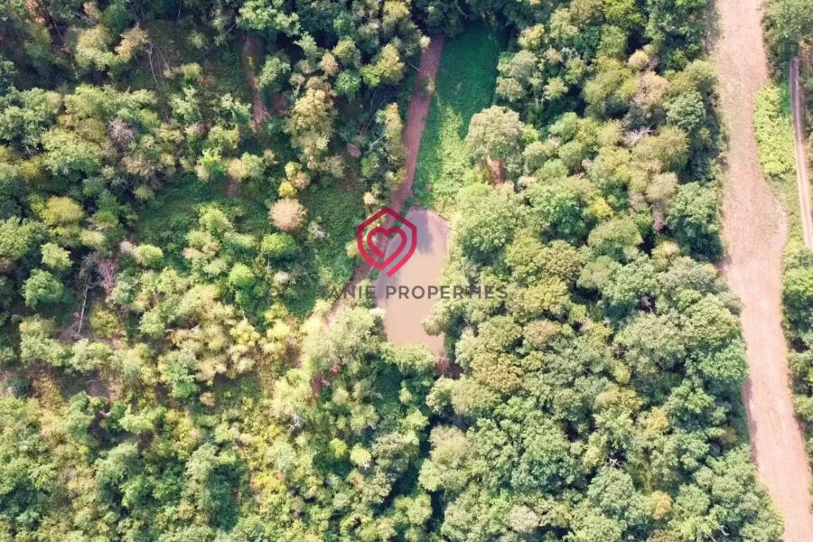 Maison à vendre à Miélan — Vue nature — photo 40