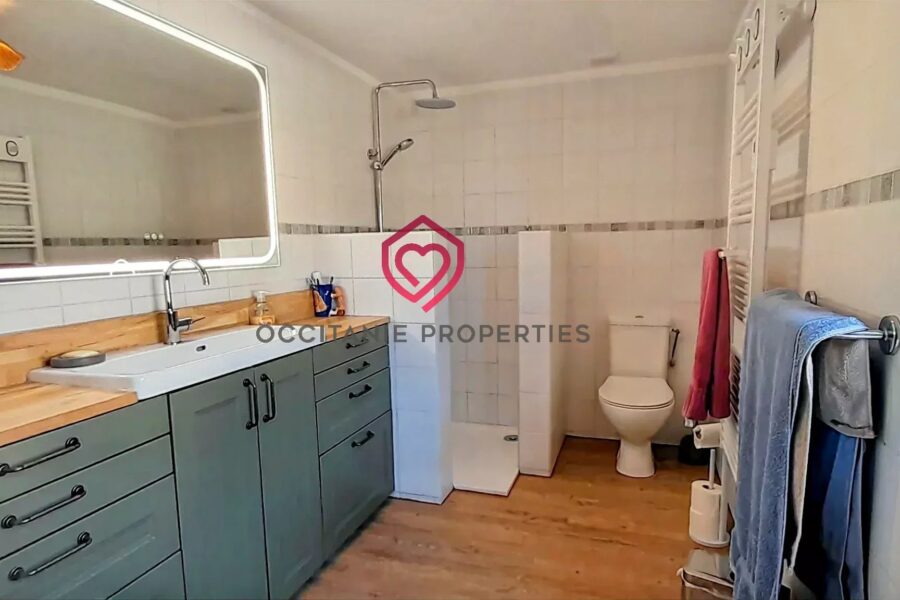 Maison à vendre à Riscle — Vue montagne — photo 11