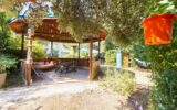 Maison à vendre à Saint-maximin-la-sainte-baume — Vue parc & jardin — photo 6