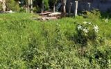 Terrain à vendre à La Rivière — Vue dégagée — photo 1