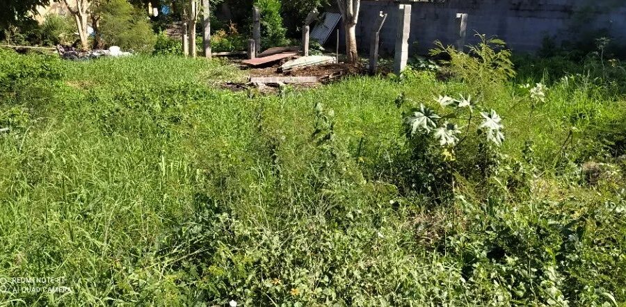 Terrain à vendre à La Rivière — Vue dégagée — photo 1
