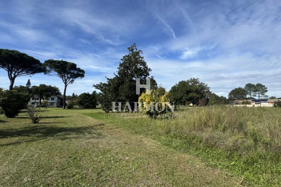 Maison à vendre à Magescq — Vue parc & jardin — photo 4