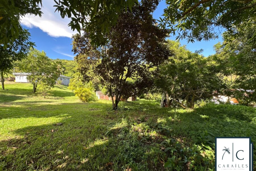 Terrain à vendre à Le François — photo 12