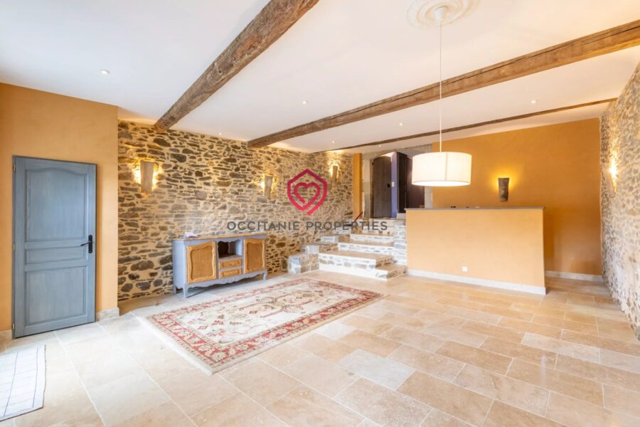 Maison à vendre à La Livinière — Vue nature — photo 8