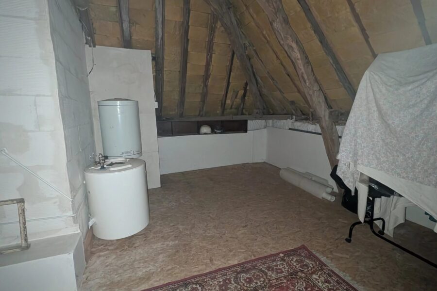 Maison à vendre à Chouzé-sur-Loire — Vue nature — photo 15