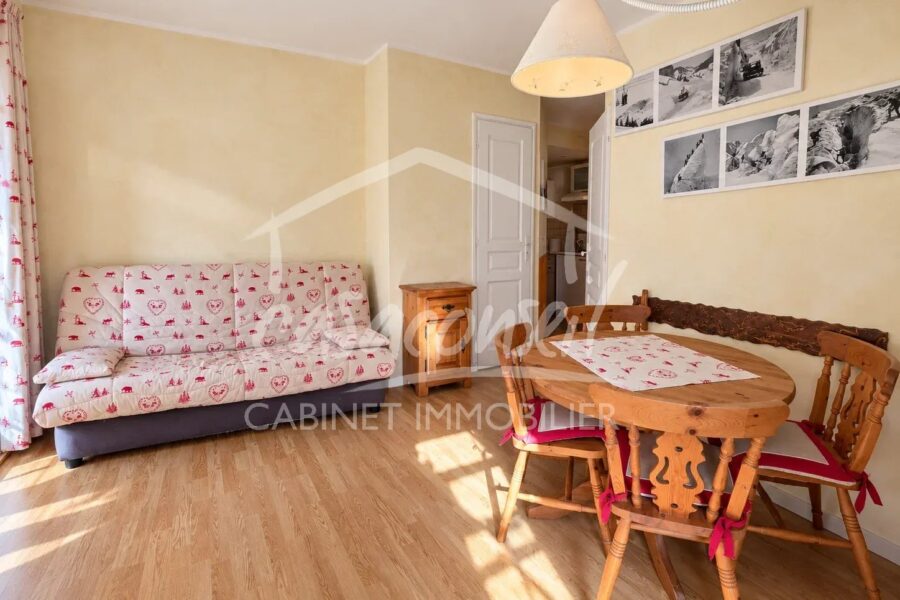 Appartement à vendre à Chamonix-Mont-Blanc — Vue montagne — photo 4
