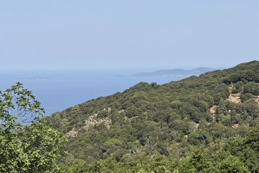Maison à vendre à Coti-Chiavari — Vue mer — photo 10