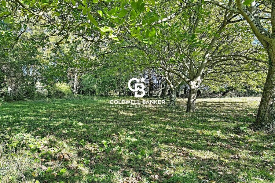 Maison à vendre à Marsilly — Vue nature — photo 20
