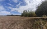 Maison à vendre à Moulins-Engilbert — Vue nature — photo 5
