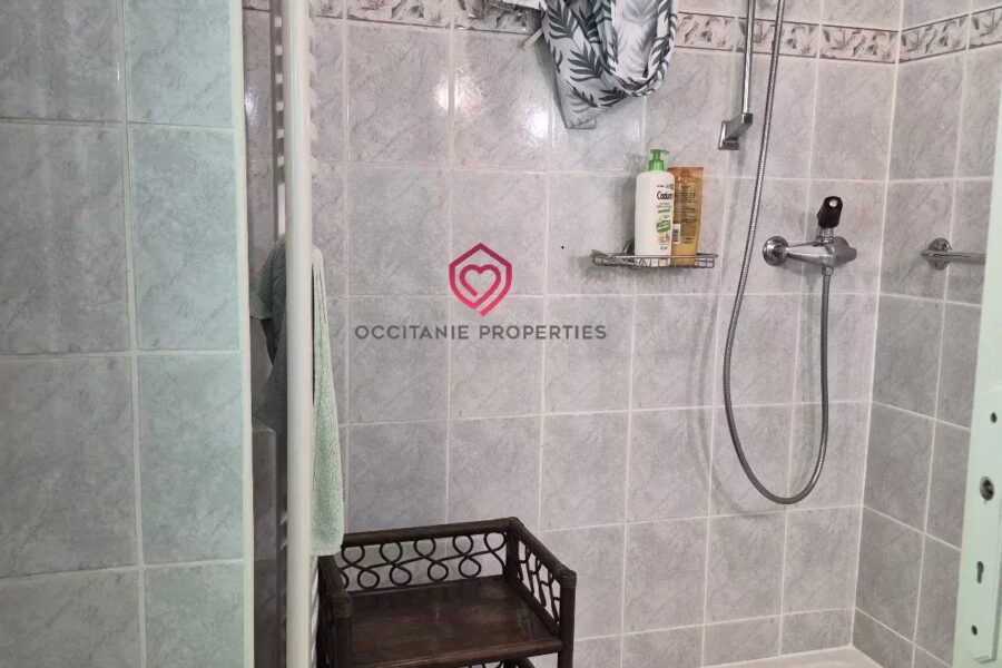 Maison à vendre à Aleu — Vue montagne — photo 12