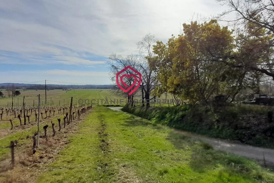 Maison à vendre à Riscle — Vue montagne — photo 27