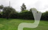 Terrain à vendre à Gujan-Mestras — photo 1