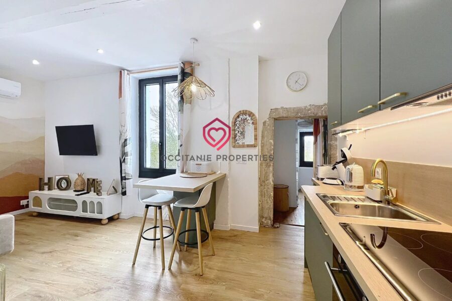Maison à vendre à Castelnaudary — Vue montagne — photo 25