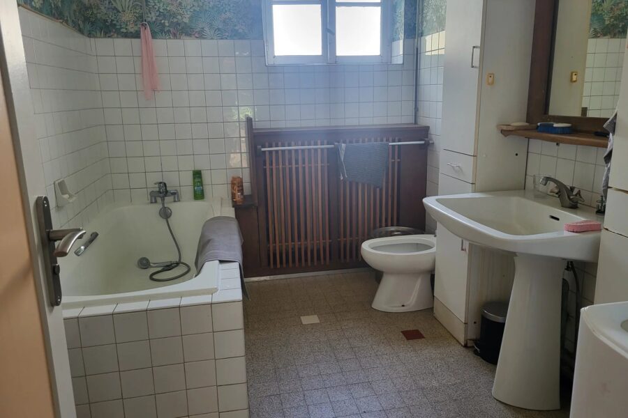 Maison à vendre à Fâchin — Vue montagne — photo 11