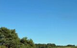 Terrain à vendre à Cravant-les-Côteaux — Vue nature — photo 1