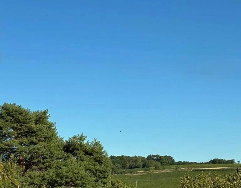 Terrain à vendre à Cravant-les-Côteaux — Vue nature — photo 1
