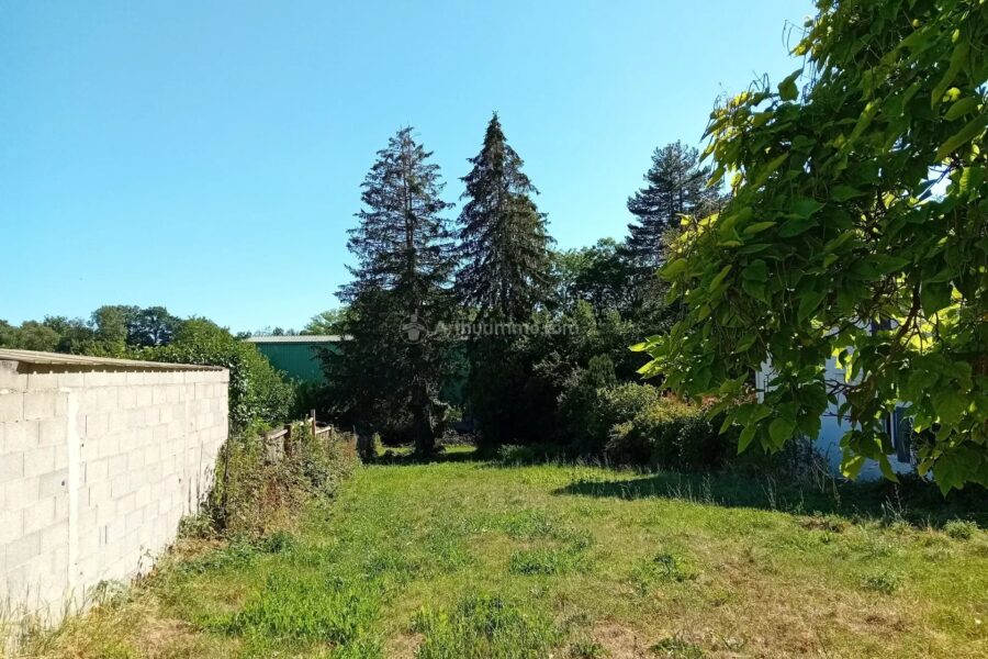 Maison à vendre à Blaye-les-Mines — Vue parc & jardin — photo 1