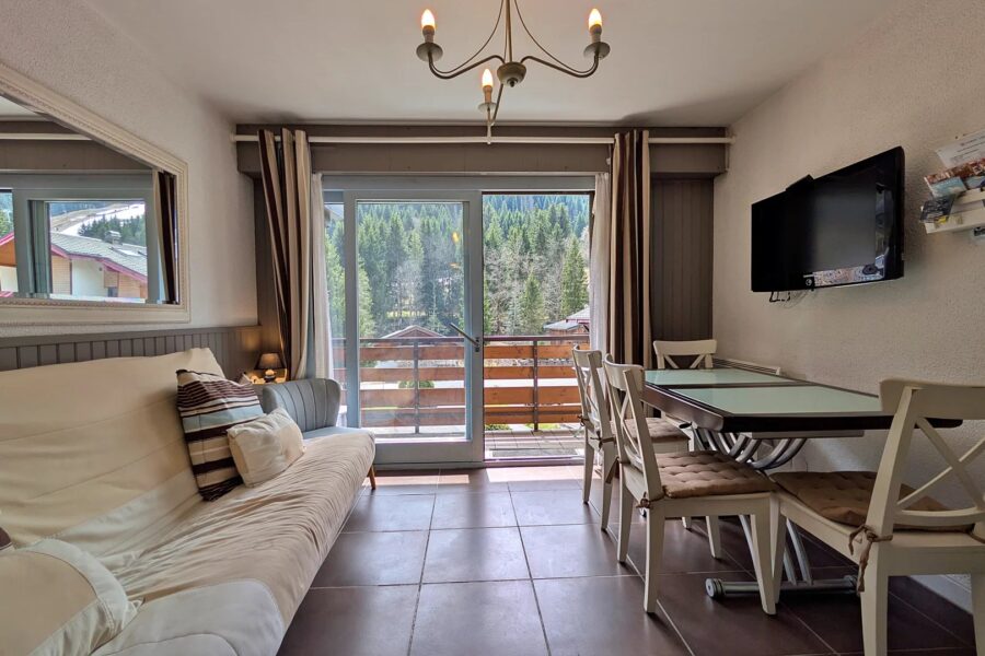 Appartement à vendre à Châtel — Vue montagne — photo 2