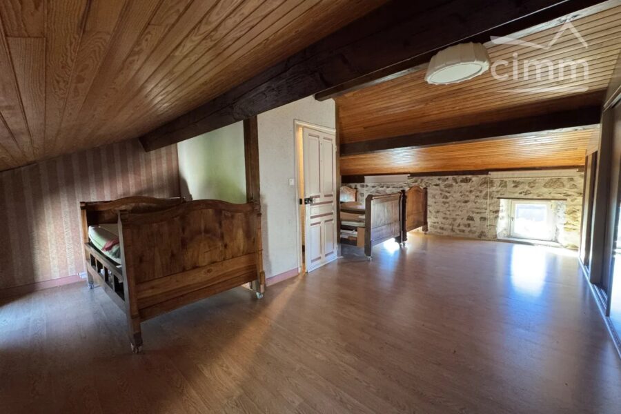 Maison à vendre à La Chapelle-Agnon — Vue montagne — photo 19