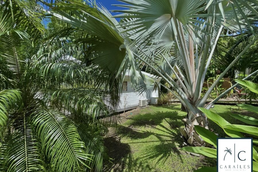 Maison à vendre à Deshaies — Vue mer — photo 35