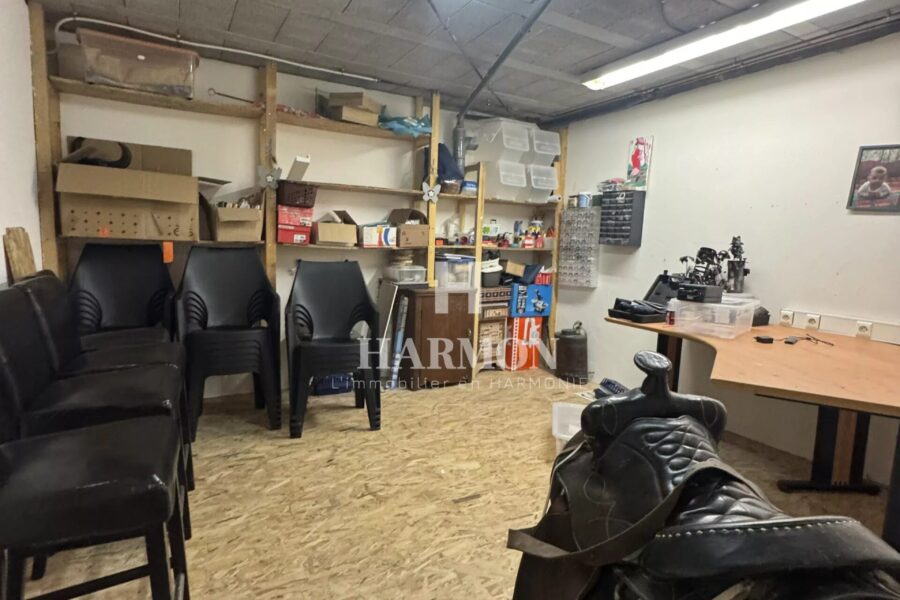 Maison à vendre à Argagnon — Vue montagne — photo 45