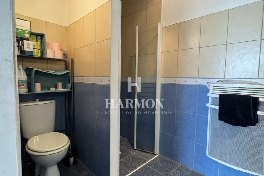 Maison à vendre à Argagnon — Vue montagne — photo 42