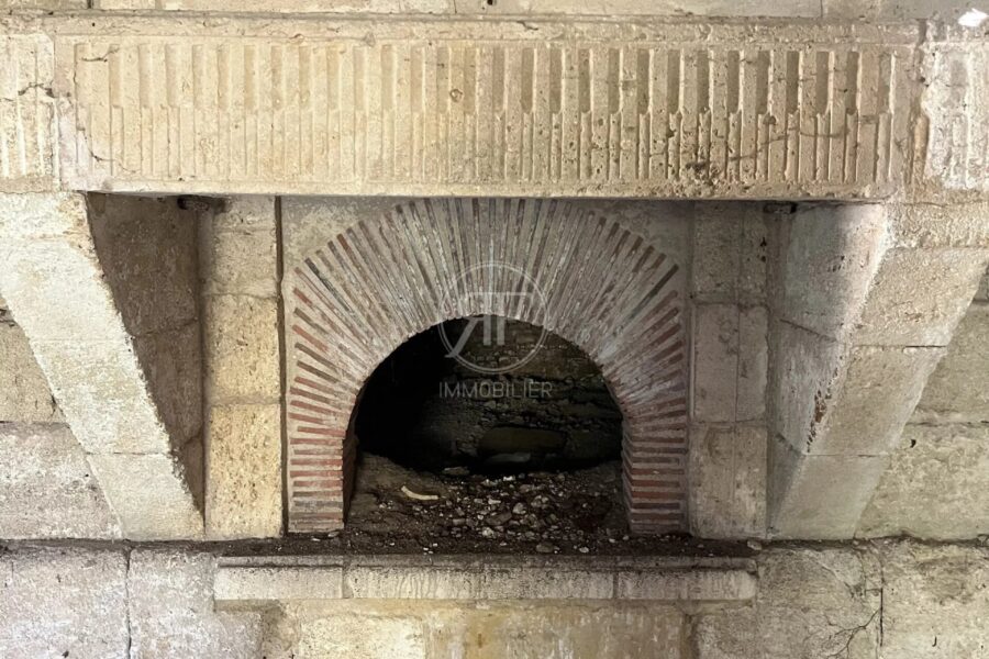 Maison à vendre à Les Artigues-de-Lussac — Vue nature — photo 29