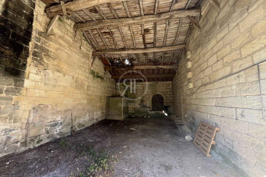 Maison à vendre à Les Artigues-de-Lussac — Vue nature — photo 25