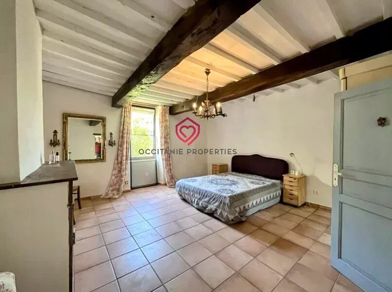 Maison à vendre à L&rsquo;Isle-en-Dodon — Vue montagne — photo 11