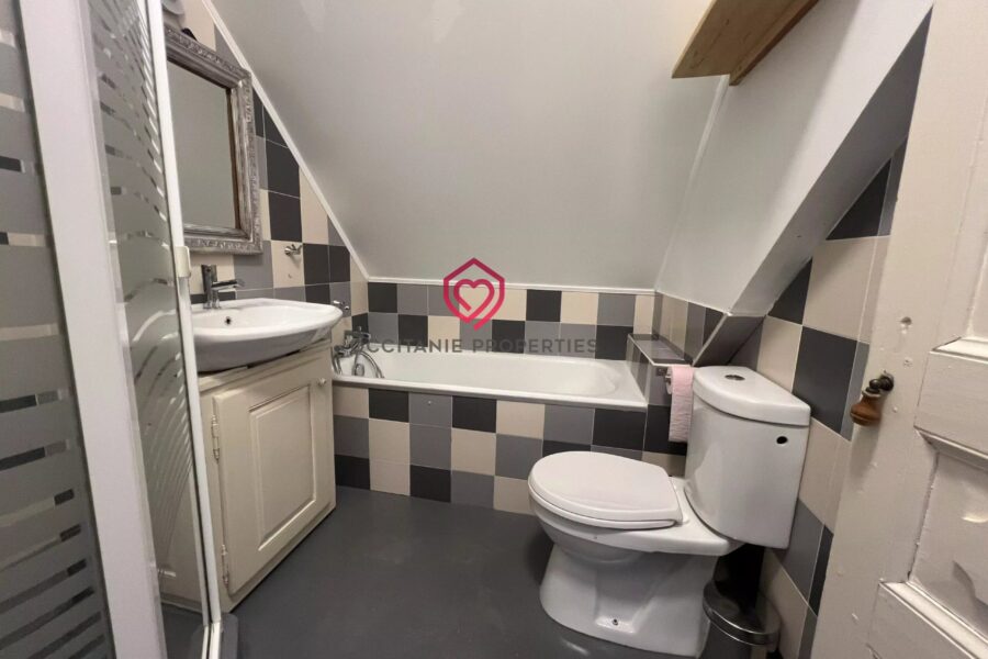Maison à vendre à Saint-Béat — Vue montagne — photo 47