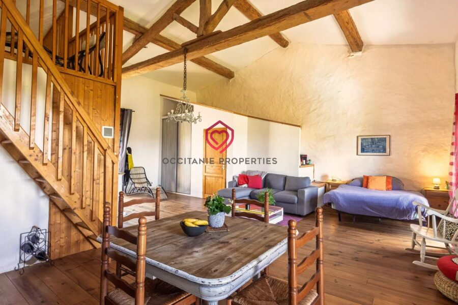 Maison à vendre à Limoux — Vue vignes — photo 6