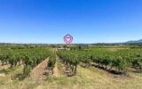 Maison à vendre à Rieux-Minervois — Vue montagne — photo 6