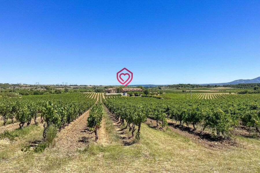 Maison à vendre à Rieux-Minervois — Vue montagne — photo 6