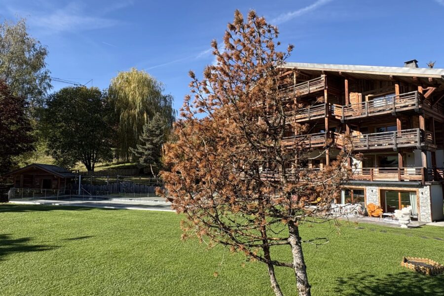 Appartement à vendre à Combloux — Vue montagne — photo 18
