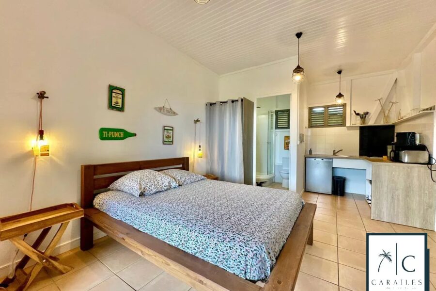 Maison à vendre à Sainte-Luce — Vue mer — photo 26