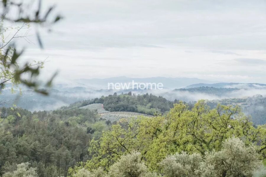 Maison à vendre à Tanneron — Vue montagne — photo 39