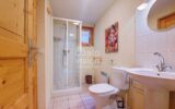 Maison à vendre à Abondance — Vue montagne — photo 19
