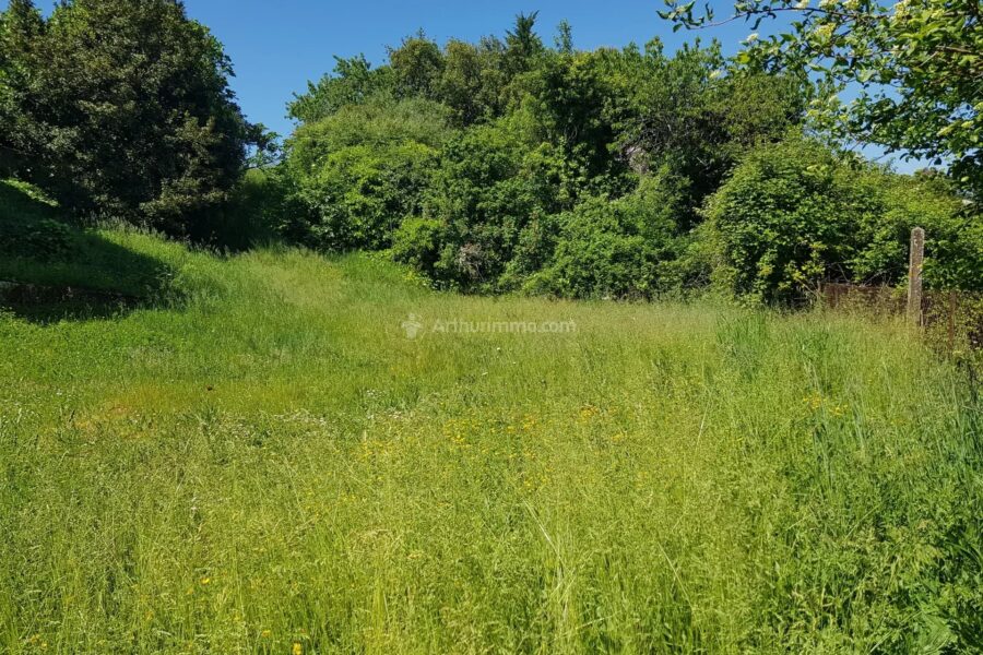 Maison à vendre à Cagnac-les-Mines — Vue nature — photo 3