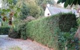 Maison à vendre à Pontivy — Vue parc & jardin — photo 15