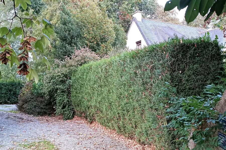 Maison à vendre à Pontivy — Vue parc & jardin — photo 15
