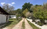 Maison à vendre à Prigonrieux — Vue parc & jardin — photo 18