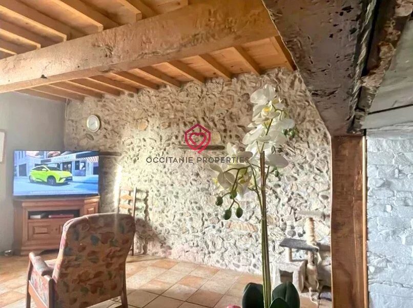Maison à vendre à Blajan — Vue dégagée — photo 7