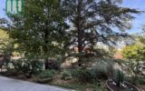 Appartement à vendre à Saint-Étienne — Vue nature — photo 1