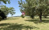Maison à vendre à Villefranche-de-Lauragais — Vue montagne — photo 22