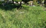 Terrain à vendre à La Rivière — Vue dégagée — photo 2