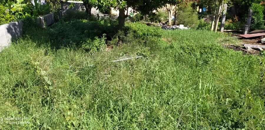 Terrain à vendre à La Rivière — Vue dégagée — photo 2